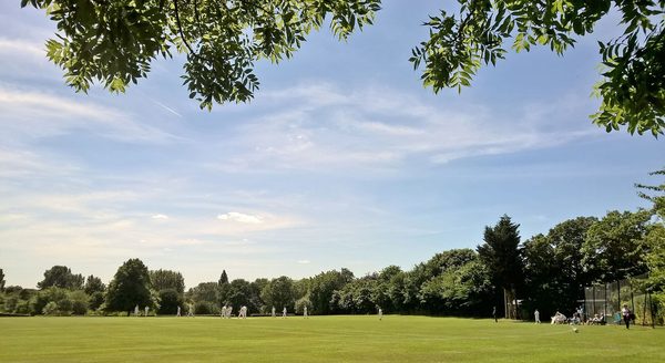 Singles in Chelmsford: view of the city