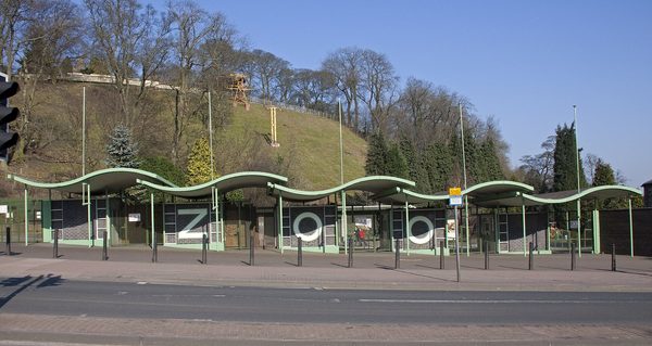 Singles in Dudley: view of the city