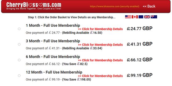Screenshot of the Blossoms prices