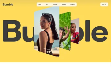 Screenshot of the Chappy website