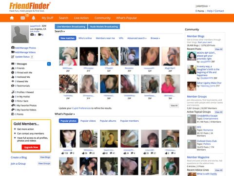 FriendFinder Match Overview