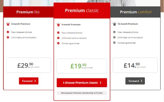 Screenshot of the GayParship prices
