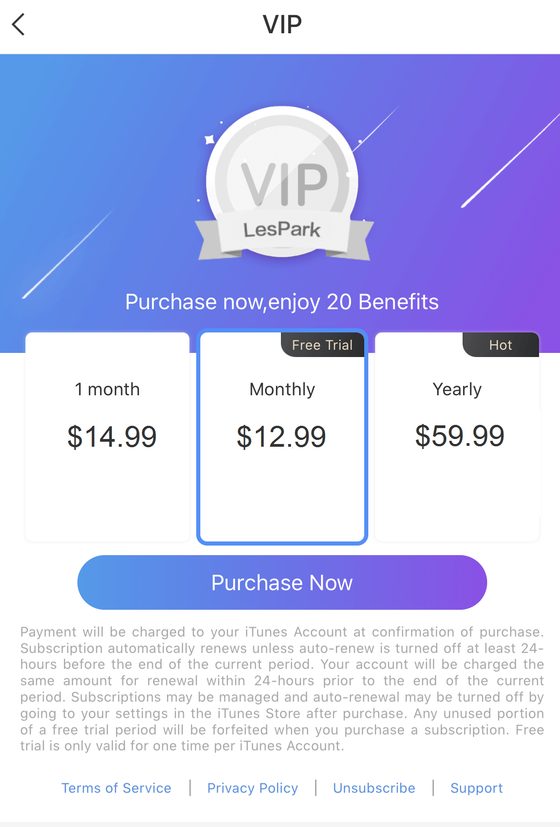 Screenshot of the LesPark prices