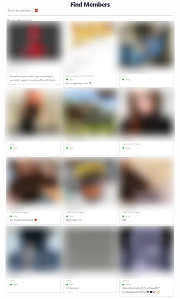 Screenshot of the StrangerMeetup website