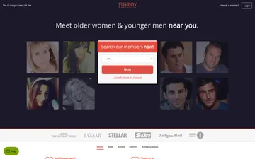 Screenshot of the Toyboy Warehouse website