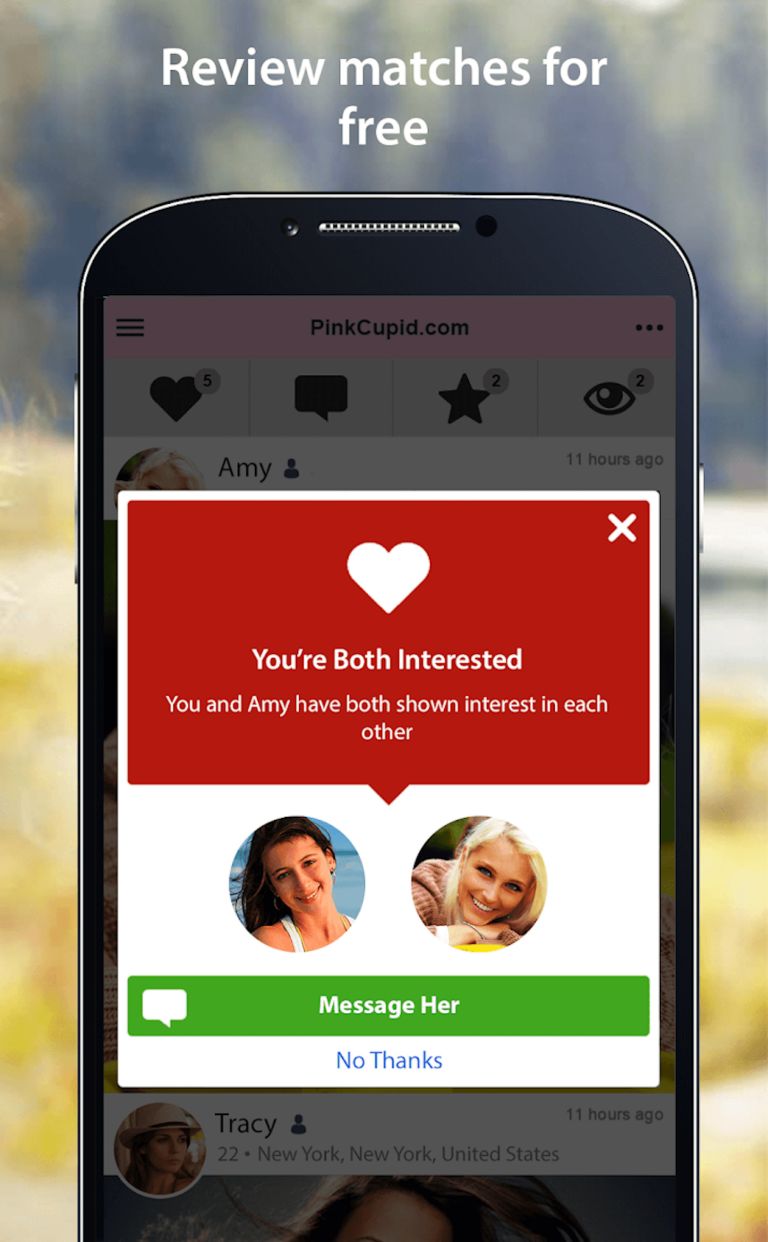 How much does PinkCupid cost? DatingScout
