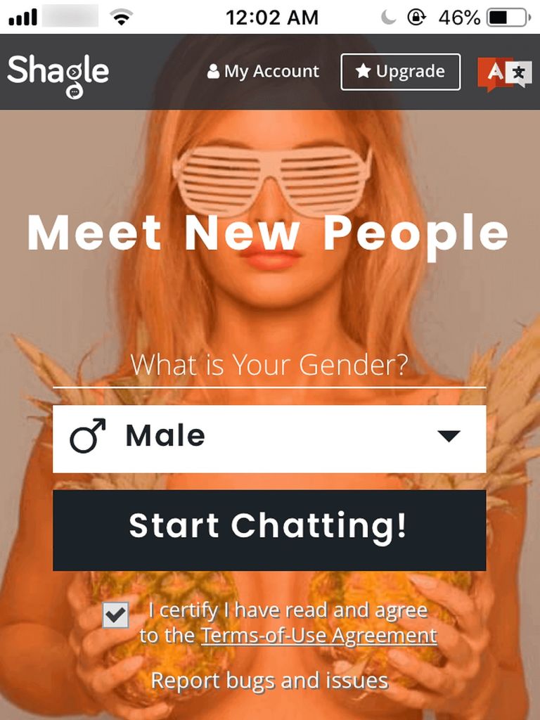 Shagle Review September 2024 Hot Chats or Not? DatingScout