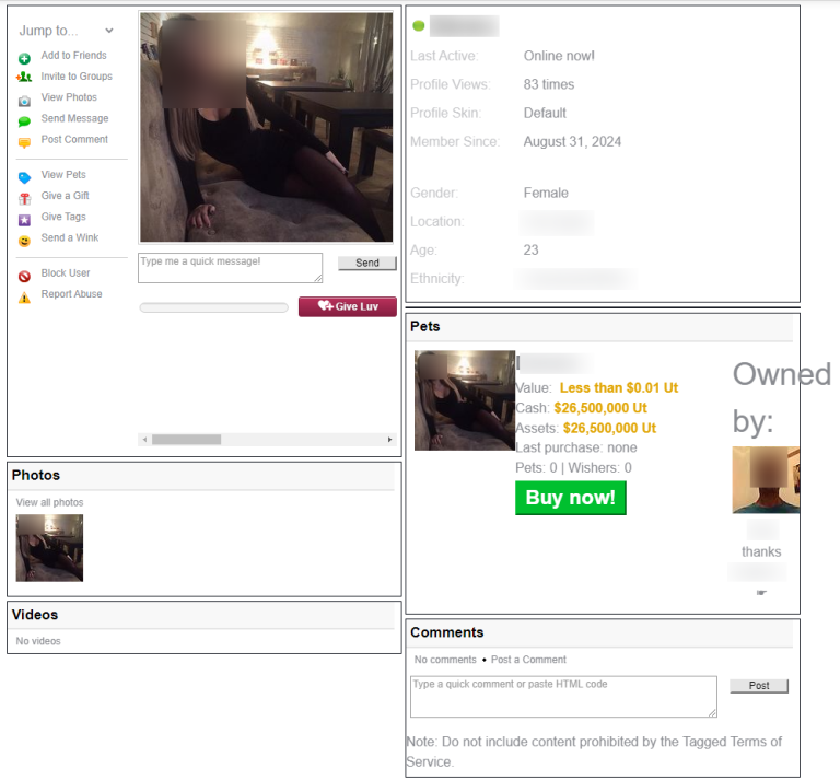 Tagged Review February 2025 Scam or real dates DatingScout
