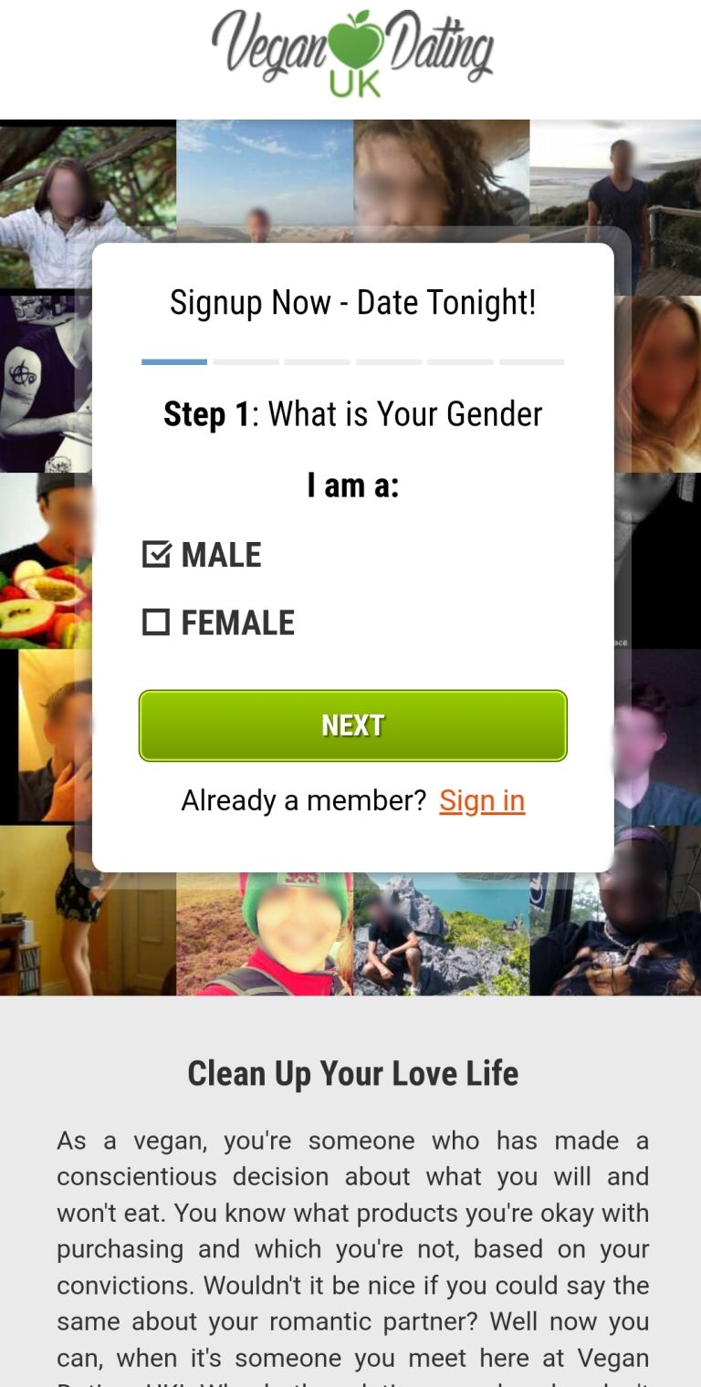 Vegan dating site in Wuhan